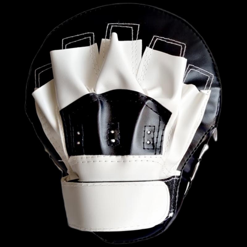 Boxing & Martial Arts Focus Mitts
