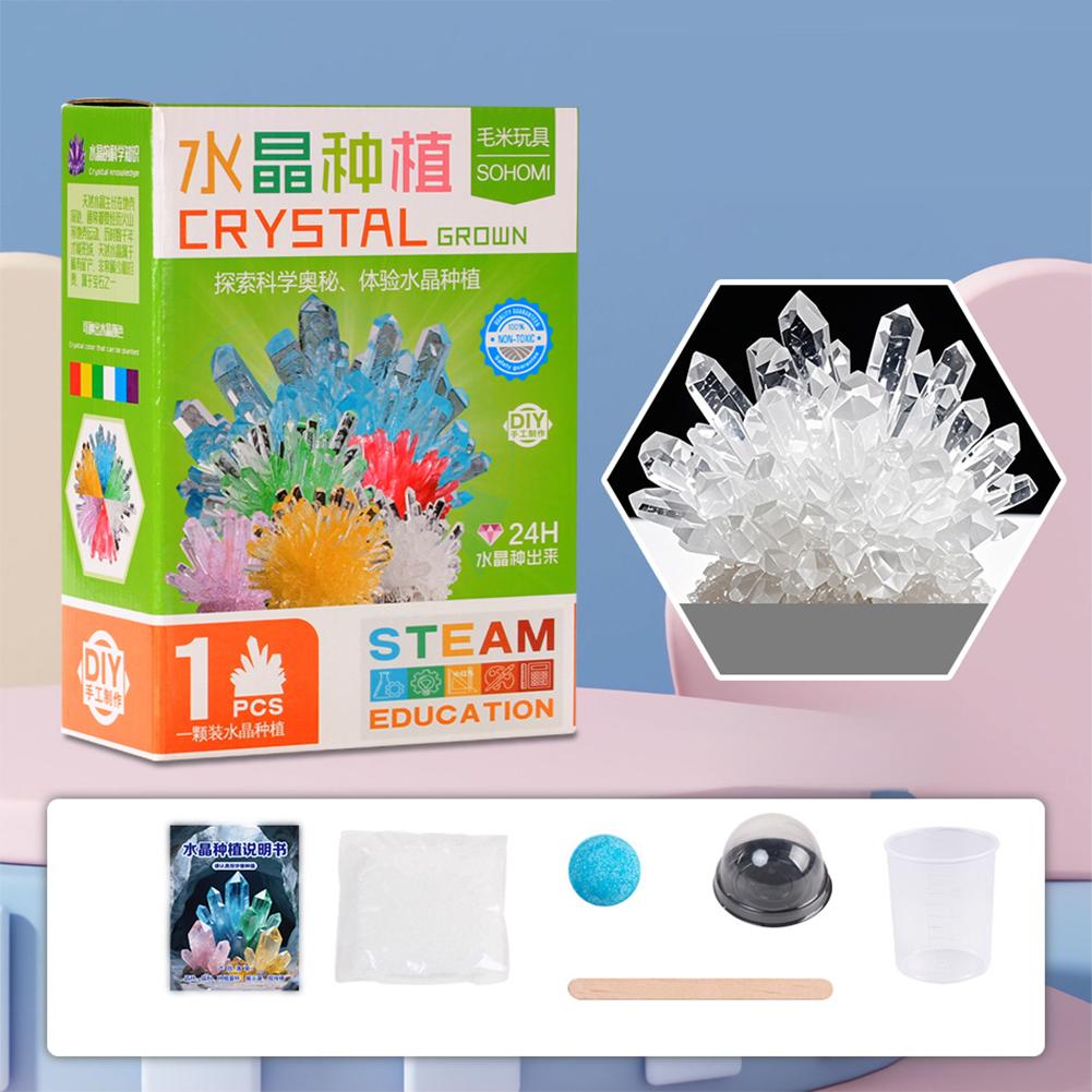 Crystal Planting DIY Scientific Experiment Set Chemical Experiment Educational Toy Handmade Toys Gift for Children Kid белый