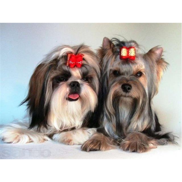 DIY 5D diamantová malba pes Křížkový steh Diamantové vyšívání Prodej Zvířecí mozaika Kamínky Obrázky