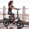 VARUN  C20-1 Folding Electric Bike for Adultswith 250W Motor and 48V 13AH Removable Battery