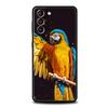 Custodia per Telefono Uccello Pappagallo Per Samsung Galaxy S26 Ultra S25 Plus S24 FE S23 S22 5G S21 S20 Cover Nera Morbida