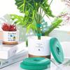 Fascetta autoadesiva in nylon per piante, verde, regolabile, con gancio e anello, supporto per spago da giardino, fascetta riutilizzabile, nastro di fissaggio