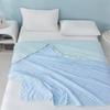 Crown Antibacterial Cooling Quilt