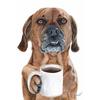 Funny Animals Drink Coffee Poster Prints Latte Grizzly Bear Tiger Alpaca Wall Art Print Canvas Painting Kitchen Bar Home Decor