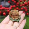 Cute Resin Hedgehog Figurine For Miniature Garden Decor Micro Landscape Gift For Holiday