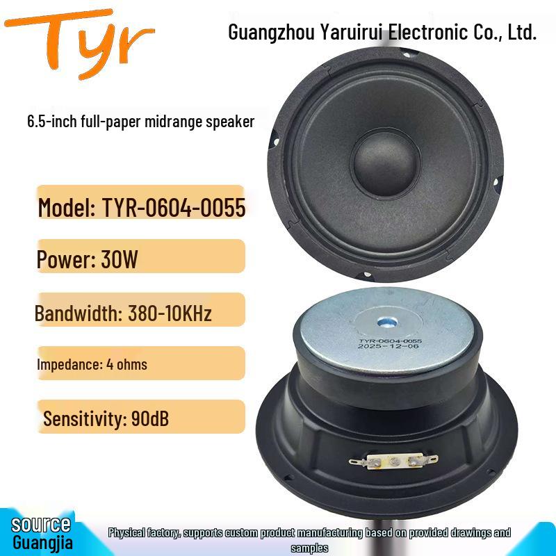 

6.5-Inch 100W High-Power Magnetic Mid-Range Speaker TYR