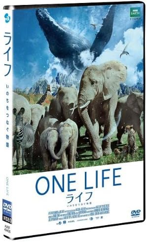 DVD  - Life -inochi Wo Tsunagu Monogatari- AVBF49400 Japan Anime/Game Used