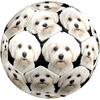 Cute Puppy Indoor Size 5 Soccer Ball Colorful Machine Stitched PVC Competition Ready Durable High-Bounce