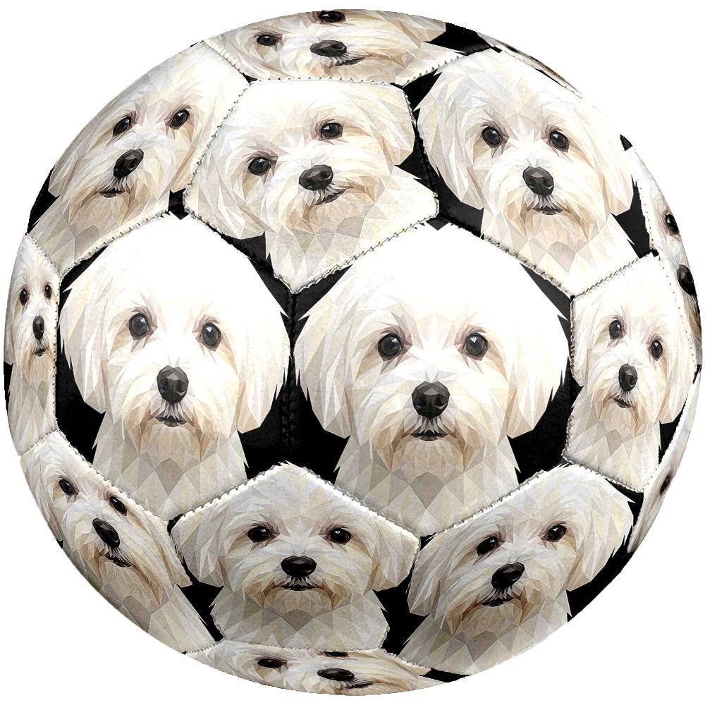 Cute Puppy Indoor Size 5 Soccer Ball Colorful Machine Stitched PVC Competition Ready Durable High-Bounce