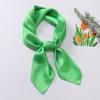 Dopamine Color Silk Scarf: Women's Solid Small Square Neckerchief & Headband