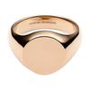 DANIEL WELLINGTON Seal Shape Design Ring, Same Style for Men and Women, Couple Model, Rose Gold DW00401186