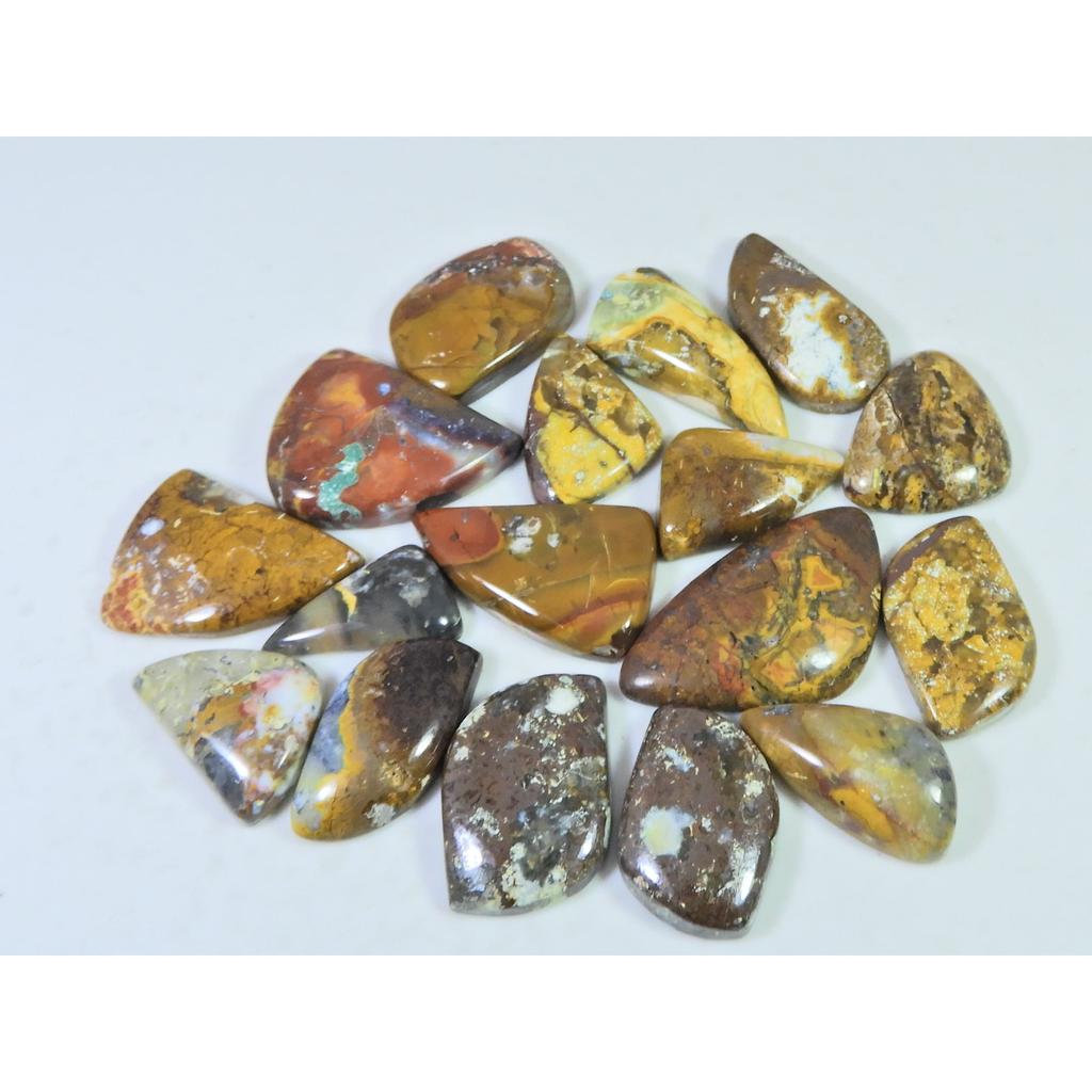 288Cts. Natural Forest Agate Fancy Cabochon Loose Gemstone 17Pcs Lot C-1958