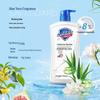 Safeguard Healthy Cleansing Aloe Vera Shower Gel
