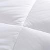 Mengjie Antibacterial Thyme Thick Fiber Quilt