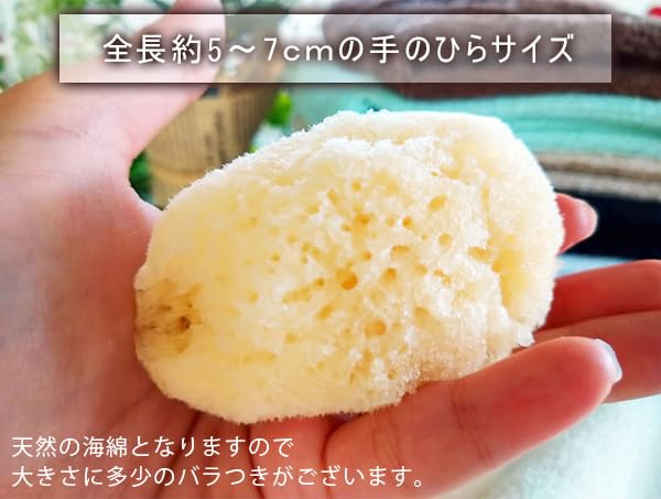 Sanitary Commercial Natural Individually Face Delicate Zone [12 Pieces] Sponge, Product, Sponge, Use, Sponge, Wrapped, Ziplock, Sanitary, Absorbent,