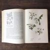 [USED] Foreign books German plant encyclopedias Vintage books Botanical