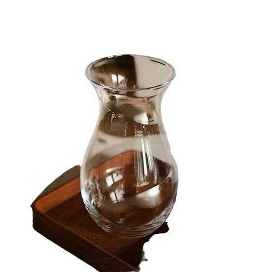 Modern Minimalist Glass Vase for Tulips & Ranunculus - Hydroponic Decor Accent for Living Room