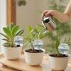 1/4pcs Plant Watering Globes 500ml Home Drip Balls Long-Lasting Hydration Tool for Green Plants