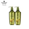Schwarzkopf Ginger Essence Oil Control Shampoo Set