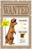 FUNKY Kobo Inflatable Dinosaur Tyrannosaurus Rex Halloween Costume Costume, Costume,