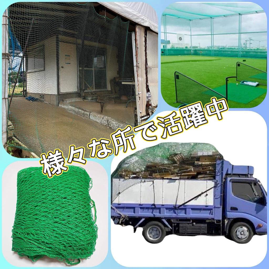 ONESORA Protection Net, Bird-Proof Net, Load-Resistant Net, 2 x 3m, 2.5cm Mesh, PE Material, Green Netting, Gardening Use
