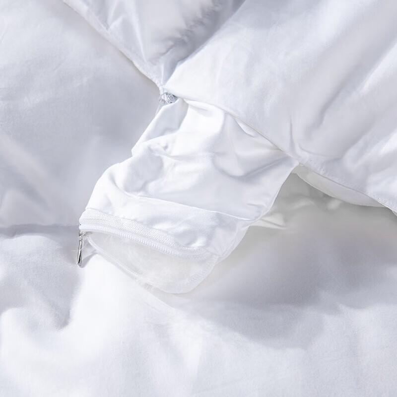 Yomengjiaju White Goose Down Winter Duvet