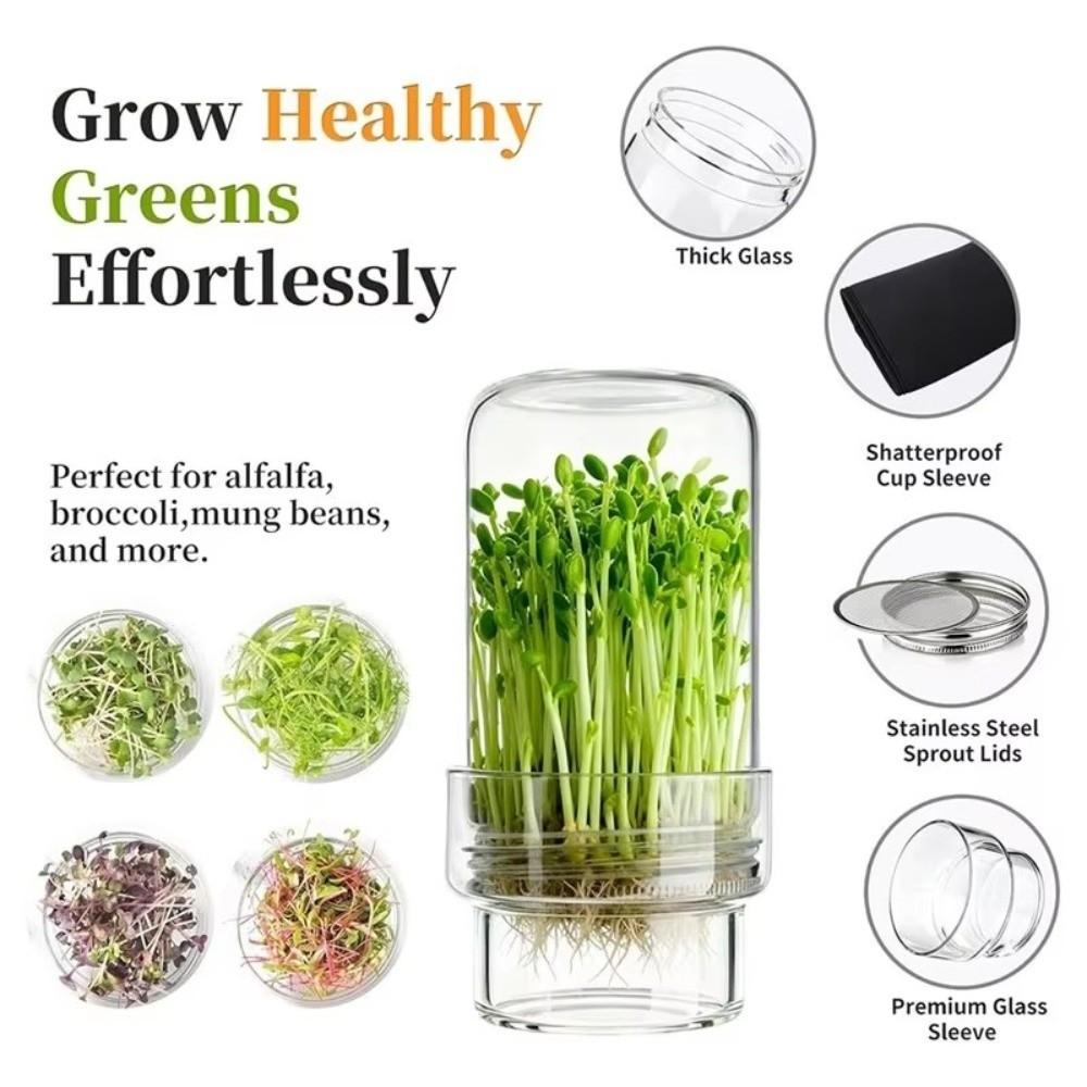 Clear Glass Glass Sprout Growing Set Drain Cover Sprout Growing Container Home Gardeners