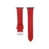 Fashion Velboa Leather Band for Apple Watch Series Ultra 2 9 8 7 6 5 4 3 2 Se Watch Strap for iWatch 40 44mm 41 45mm 49mm Band