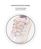 Abckids 2026 Spring New Children's Breathable Non-Slip Outdoor Sports Shoes for Girls