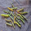 12Pcs Creative Caterpillars Resin Hair Clip For Punk Event Gothic Styles Hair Barrettes for Women Teens Halloween Event