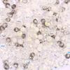 3*4mm 4*6mm Rondelle Faceted Loose Spacer Glass Beads Crystal Round Beads for Jewelry Making DIY Necklace Bracelet Accessories