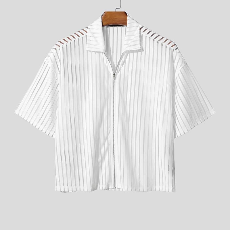 

INCERUN Summer Men Short Sleeve Zip-up Mesh See Through Hollow Beach Cropped T-shirts Tops 5XL білий