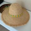 Summer Wind Big Brim Raffia Straw Hat Women's Beach Hat Travel Seaside Vacation Sun Hat