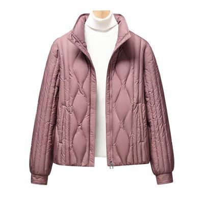 Xuezhongfei Women's Simple Goose Down Jacket