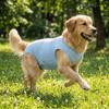 Sleeveless Cat Recovery Suit Breathable Dog Jumpsuit Comfortable Cat Weaning Suit  Daily Wear