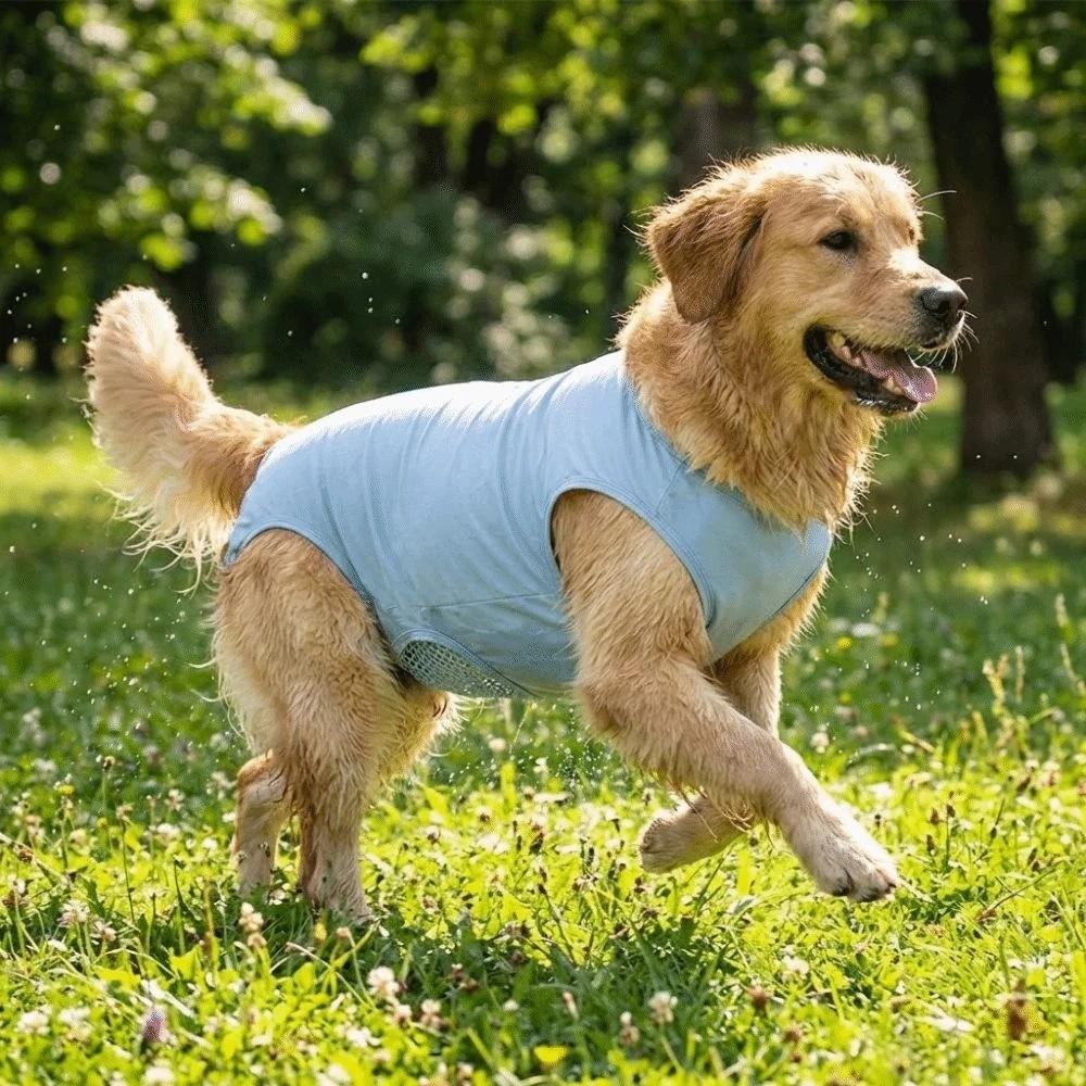 Sleeveless Cat Recovery Suit Breathable Dog Jumpsuit Comfortable Cat Weaning Suit  Daily Wear