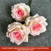 Multistyles Garden Colorful Rose Silk Elegant Hydrangea Flower Flowers Backdrop Stage Aisle Floor Floral Decor