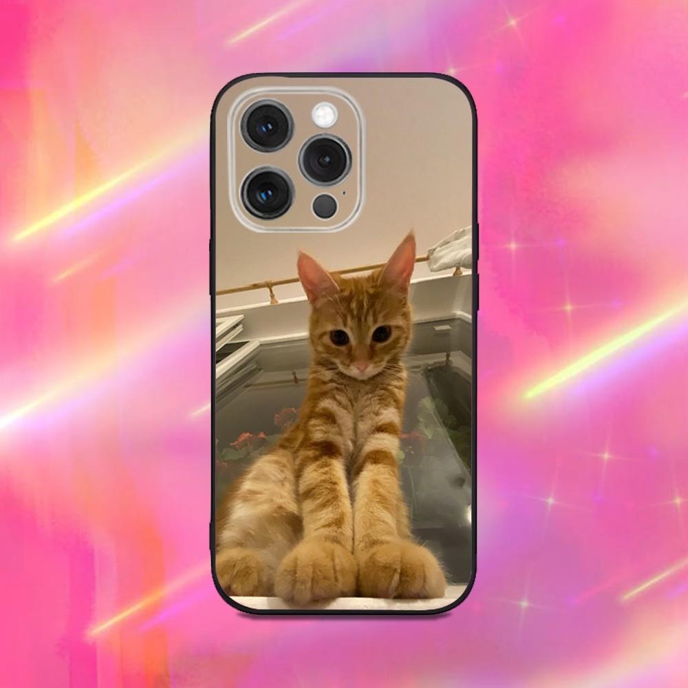 Funny Cute Cat Phone Case For iPhone 17 16 15 14 13 12 11 Pro Max Mini SE 7 8 Plus 17E Air Shockproof Non-Slip Soft Back Cover