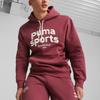 Puma Team Hoodie With Letter Print Long Sleeve Sweatshirt Men Hoodies Burgundy 625313-22
