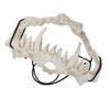 Skull Mask Latex Tiger Tooth Type Durable Waterproof Adjustable Scary Mask for Party Festival