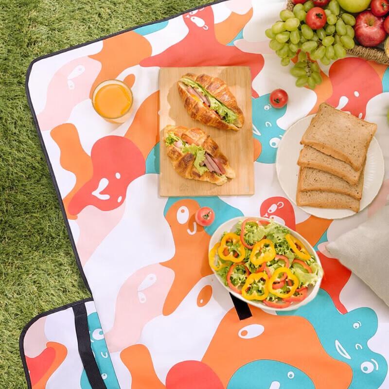 TFO Waterproof Outdoor Picnic Mat