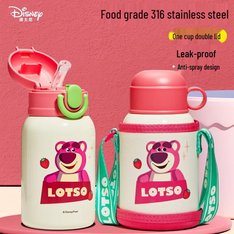 Disney Kids 316SS Insulated Straw Water Bottle