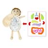 Human Body Anatomy Toy Human Body Organ Doll Model Anatomy Doll Preschool Educational Organ Plush