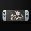 2 Pcs Pack a Screen Protector For Nintendo Switch, Tempered Glass 9H, OLED, Accessories