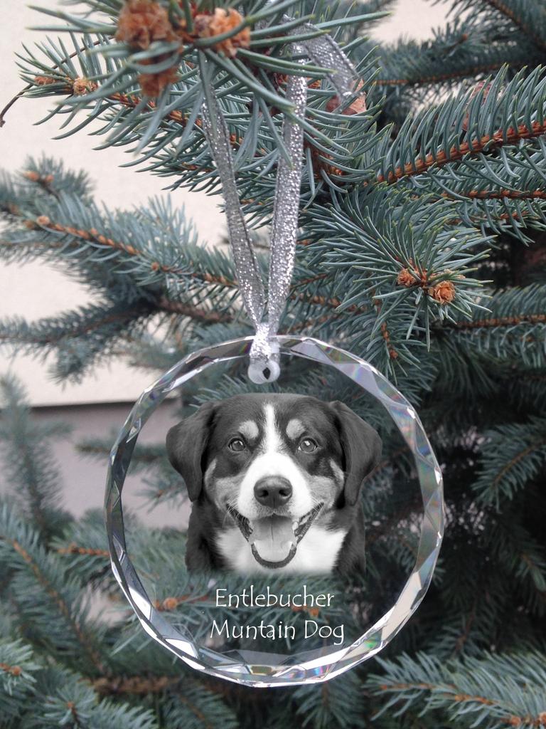 Entlebucher Mountain Dog - Crystal Bauble with a Photo, Dog Photo In Crystal, Personalized Christmas Tree Ornament by Art-Dog Brand