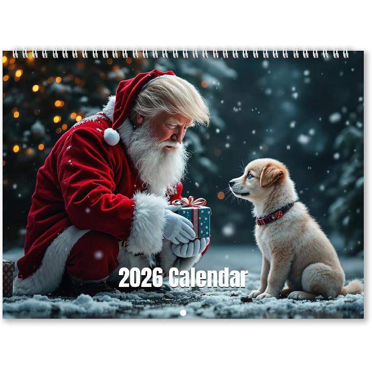 Fu-ck It 2026 Calendar for Tired Women, 2026 Fu-ck It Wall Calendar for Tired Women, Humor Hanging Month Calendar,Hanging Calendar for Home