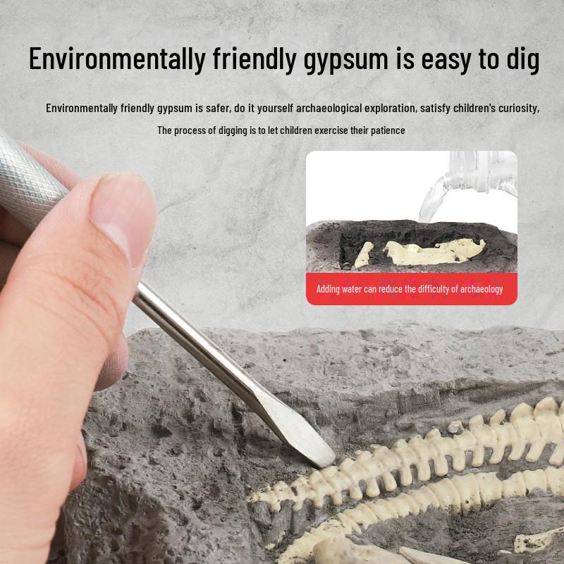"Dinosaur Fossil Excavation Toy Egg - Treasure Hunt for Kids"