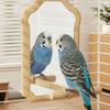 Wear-Resisting Parrot Mirror Toy Detachable Interactive Bird Toy Bird Mirror Perch  Playing