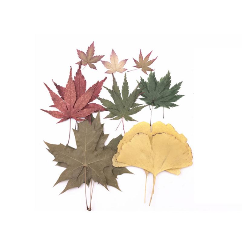 4 Inch 6 Inch Diy Glass Photo Frame Handmade Creative Simple Dried Flower Picture Frame Minimalist