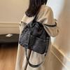 Single Shoulder Crossbody Bag with Large Capacity, Suitable for Spring Fashion and Casual Wear, Women's Bag